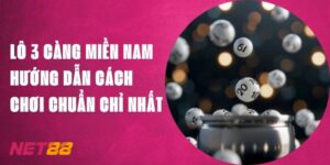 Lô 3 Càng Miền Nam Net88 - Hướng Dẫn Cách Chơi Chuẩn Chỉ